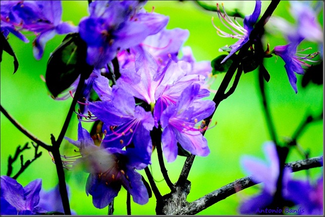 6_DSC3676x1