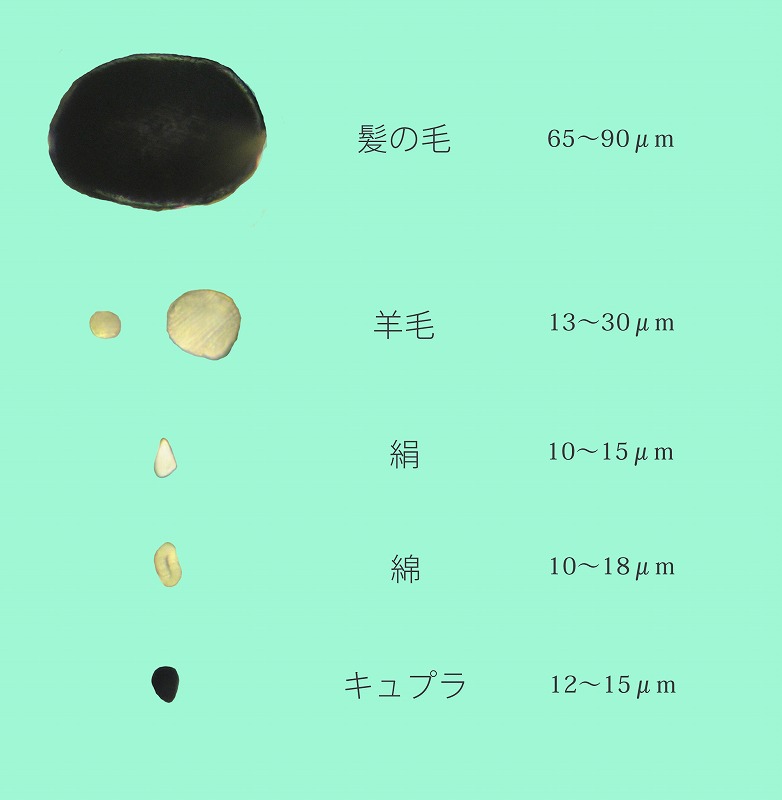 シケンジョテキ 髪と羊と絹と シケンジョテキ 髪と羊と絹と