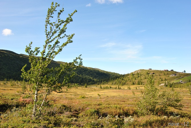 søndag aug 054