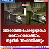   മൊബൈൽ ഫോട്ടോഗ്രാഫി  മനോഹരമാക്കാം;  ഗൂഗിൾ സഹായിക്കും  
