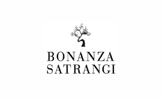 Bonanza Satrangi Jobs For Assistant Brand Manager