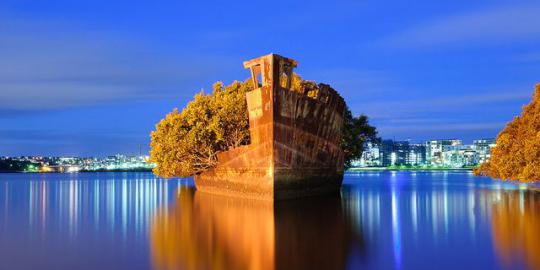 SS Ayrfield floating mangrove asalasah.blogspot.com