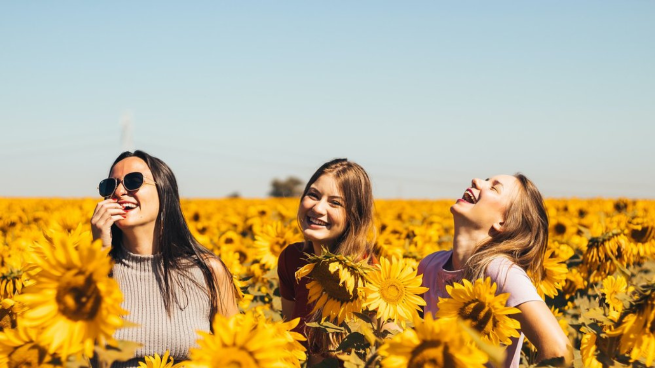 how to plant sunflowers seeds