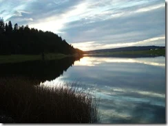 IMGP0311