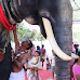 Un templo hindú usa elefante robot para evitar crueldad con los animales