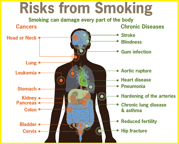 Smoking Side Effects How Smoking Affects Your Health