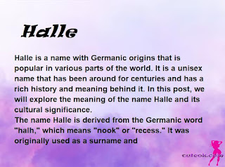 meaning of the name "Halle"