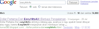 google sERP