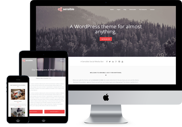 How To Design Premium WordPress Themes for free ( collections)