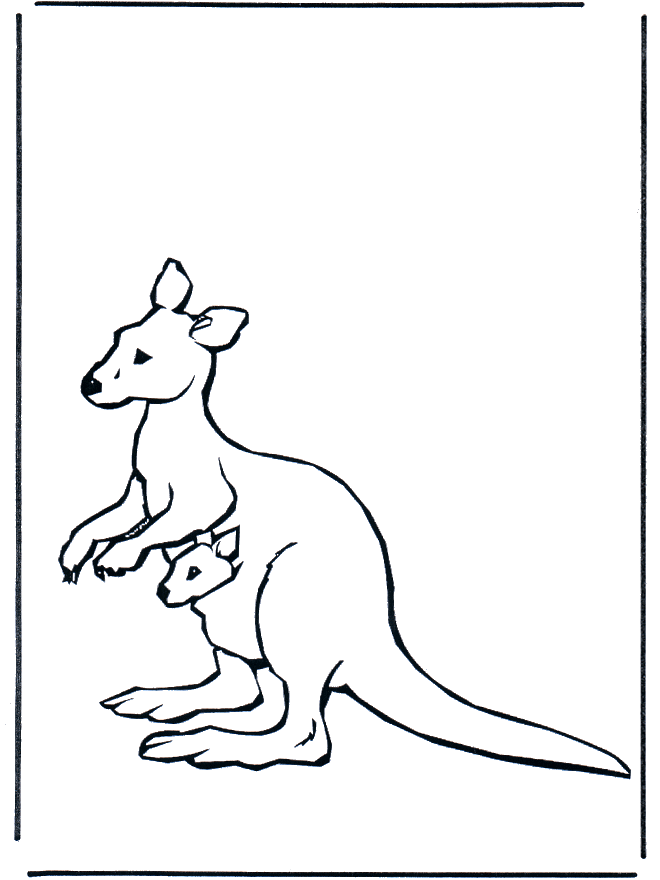 Download Animal Coloring : Kangaroo Coloring Pages Kids
