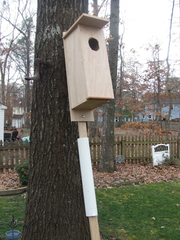 just a lovin spoonful: making a wood duck house