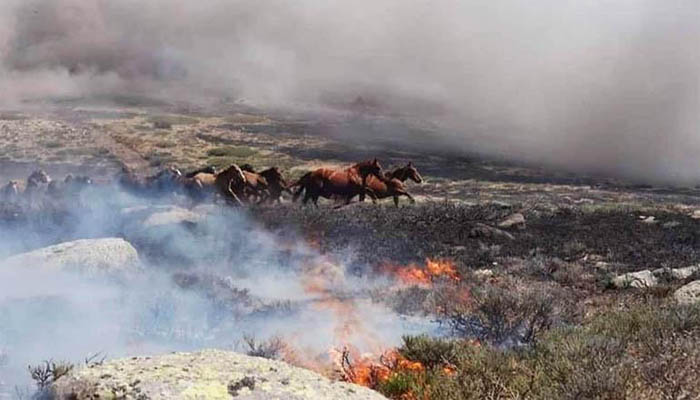 Incendios en Bolivia