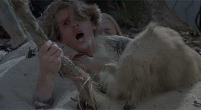 princess bride fire swamp internet troll forum