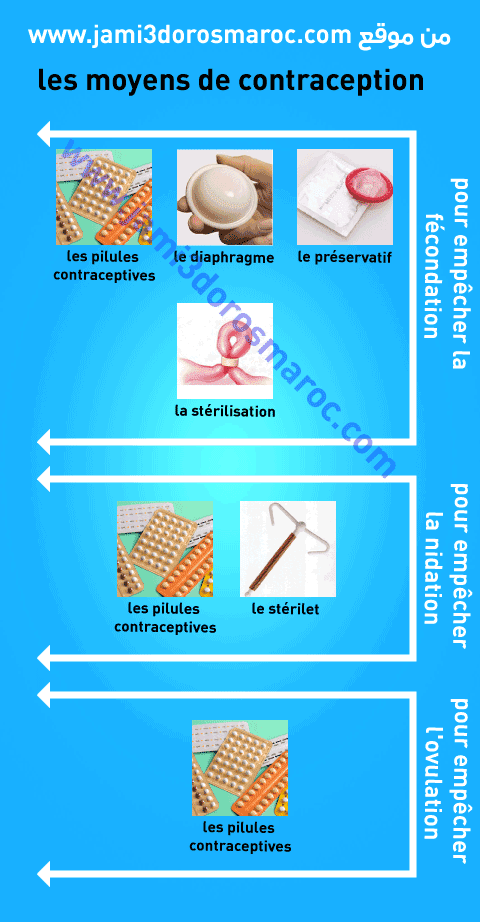 les moyens de contraception