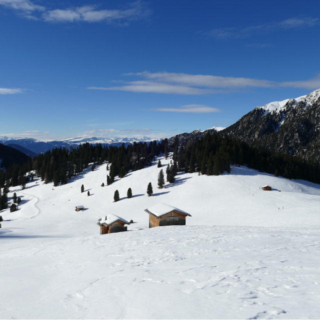 sentiero Adolf Munkel inverno ciaspole