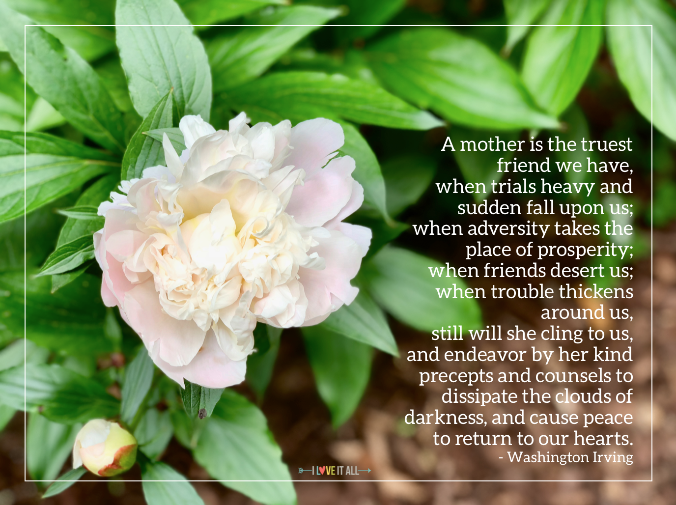 #Washington Irving #mom #mother quote #friend #love #quote #quotes #Mother's Day Quote #peony #Sunday Photos