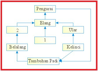 Contoh Soal Ipa Ekosistem - Syd Thomposon 2012