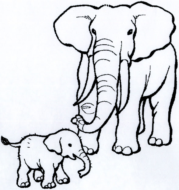 African Animals Coloring Pages  Click On Each Image To Get Downloadable  Pages That You Can