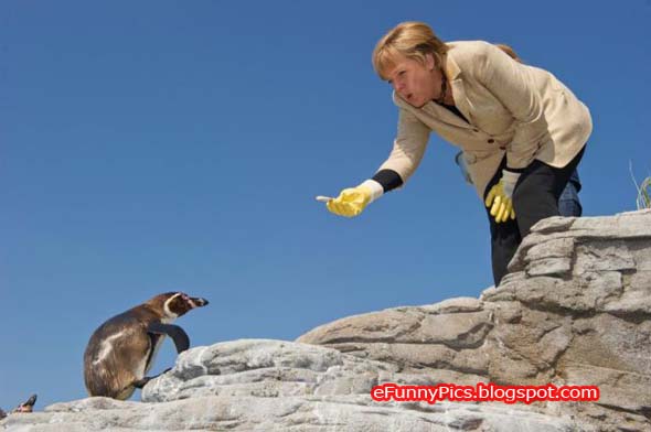 Merkel with a Penguin