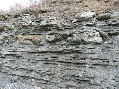 Rock formations known as seismites are troubling to secular geologists.