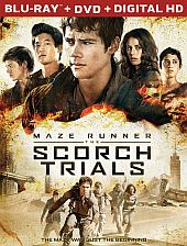 Scorch Scorch