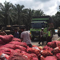 Truk Pengangkut Bawang Terlibat Tabrakan Beruntun di Jalinsum Torgamba Labusel