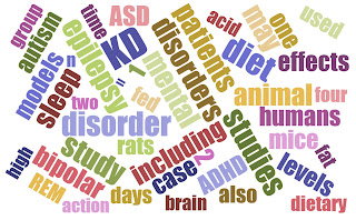 Ketogenic diet mental health effects image 1