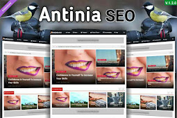 Antinia SEO