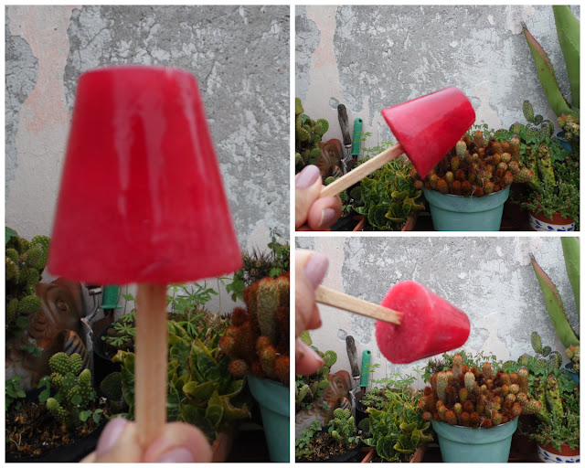 Paletas de hielo con sabores tradicionales de México