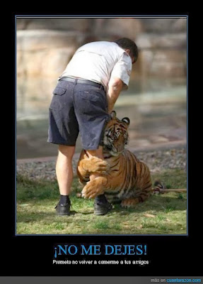 Meme de este tigre suplicando a su amo que no lo deje