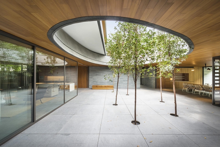 Terrace with trees in The Wall House by FARM Architects