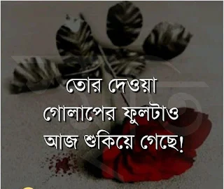 ভালোবাসার ছবি ডাউনলোড