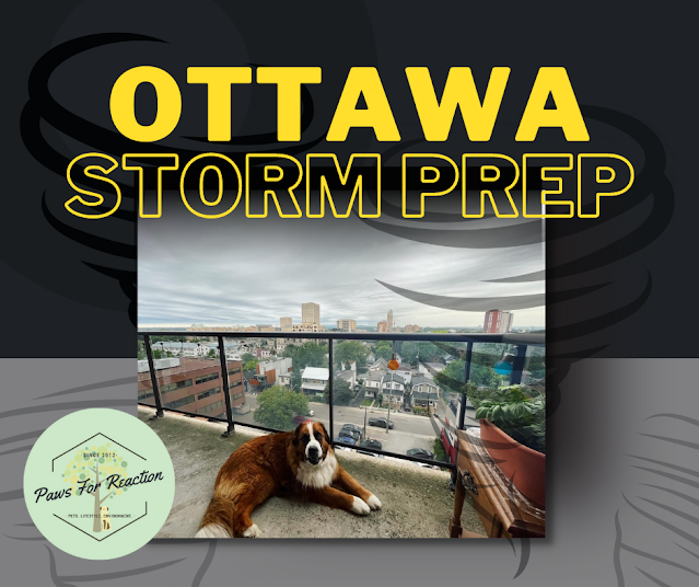Ottawa severe thunderstorm: Storm safety preparation tips & what to do during a tornado