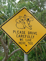 Koala Road sign