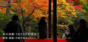 京都･1泊2日の紅葉巡り① 永観堂･南禅寺･圓光寺〜貴船まで