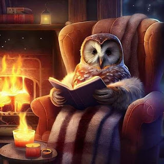leitura coruja pensamento sofá luz refletir ler