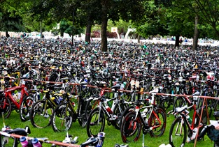seaofbikes