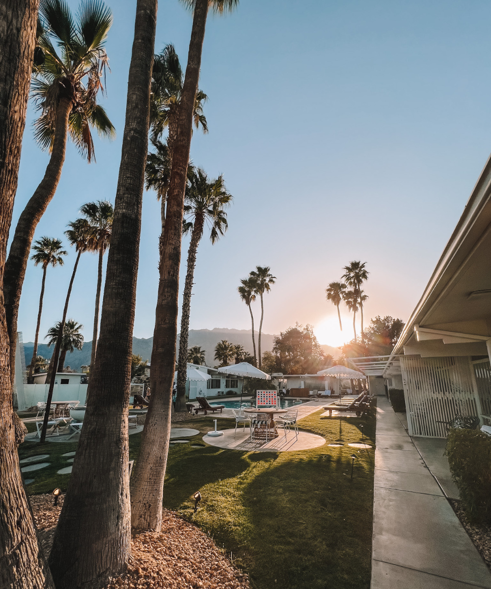 The Monkey Tree hotel in Palm Springs has a beautiful and private courtyard