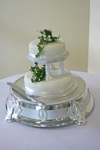 Two Tier Small Wedding Cakes Small Simple Wedding Cakes