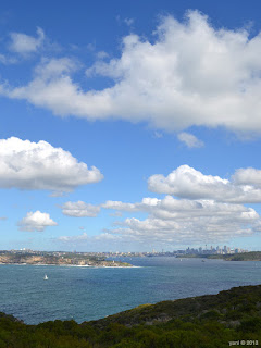 over the harbour