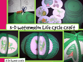 watermelon life cycle craft