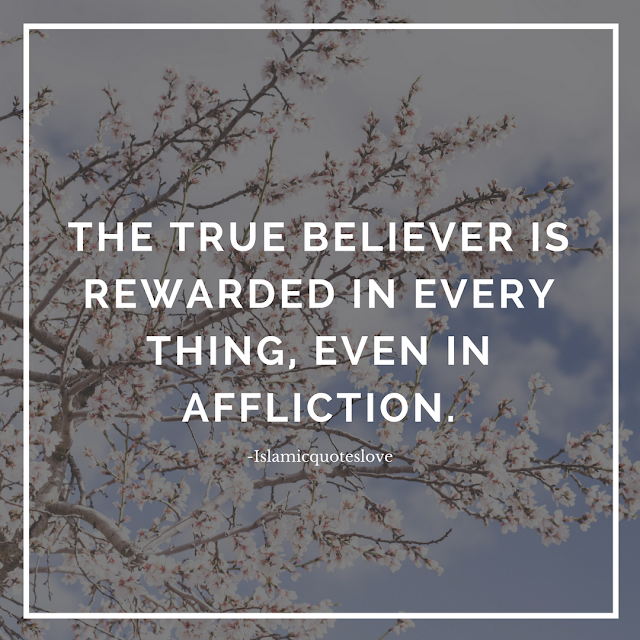 The True believer is rewarded in every thing,  even in affliction.  - Abu Bakr 