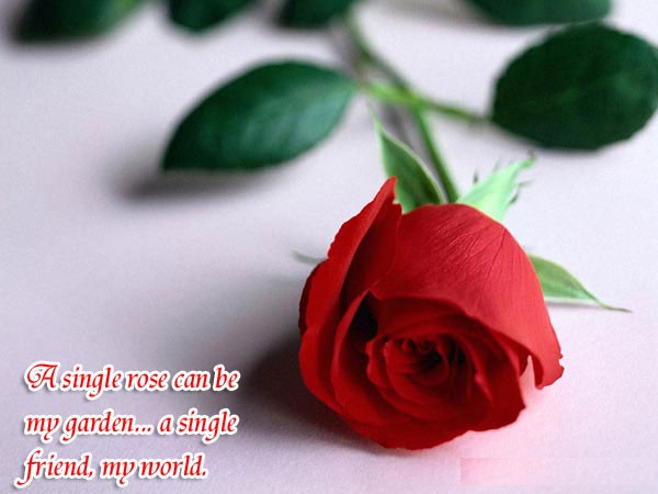 i love you friend. i love you my friend poems. i