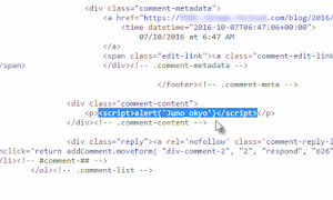 C?nh b�o v? l? h?ng b?o m?t XSS ch�a ��?c v� trong WordPress