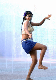 Priyamani Hot and Sexy Wet Photos, Wet Saree