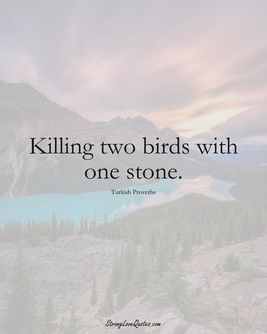 Killing two birds with one stone. (Turkish Sayings);  #MiddleEasternSayings