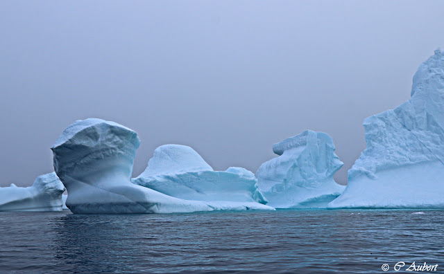 Iceberg, Savissivik, Groenland