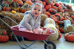 My Grandbaby