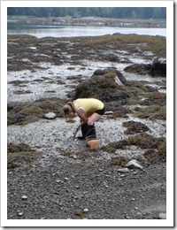 maine13