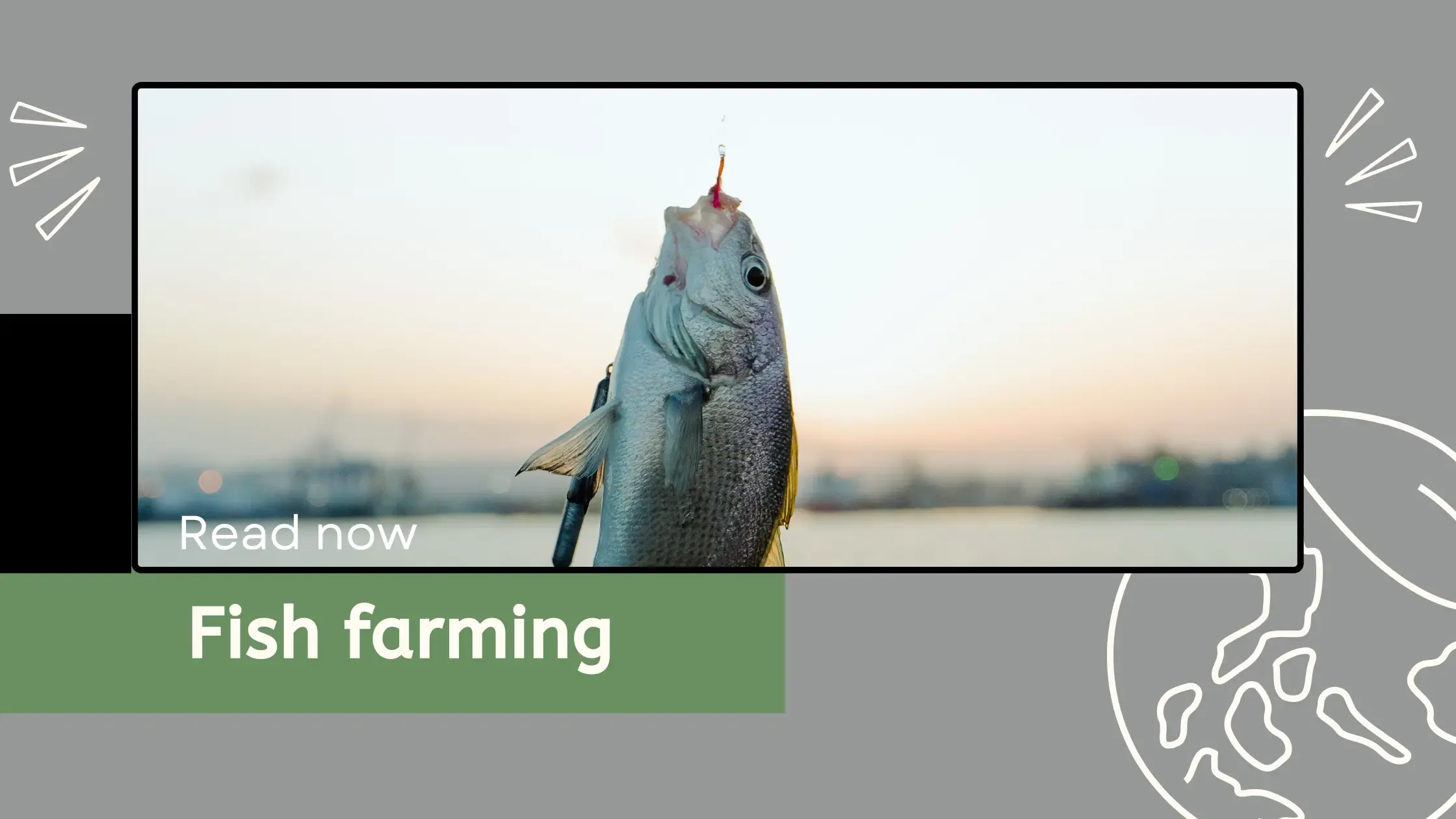 Fish farming profitable business